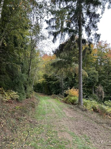 Bovenbergrunde
