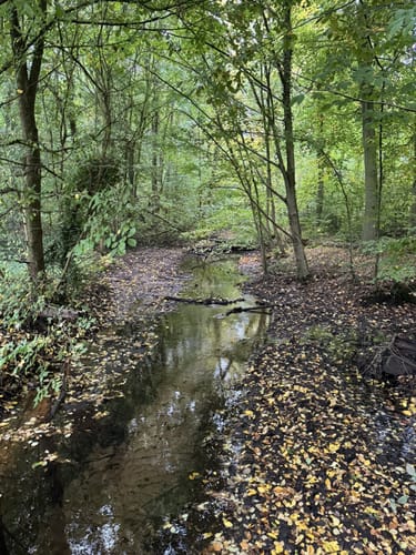 Pilgerweg Loccum-Volkenroda Etappe 1: Loccum - Stadthagen