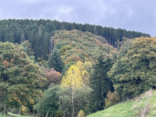 Naturpark Südeifel Nr. 2 Reipeldingen - Dahnen