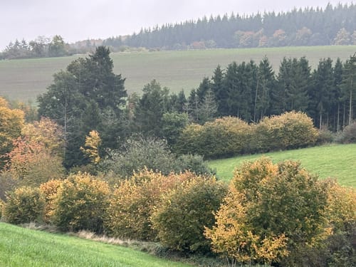 Naturpark Südeifel Nr. 2 Reipeldingen - Dahnen