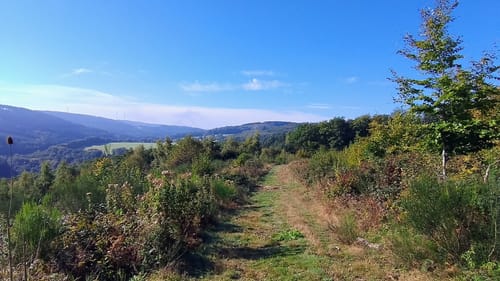 Themenwanderweg Lampaden -  Weg des Wassers