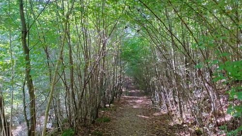 Themenwanderweg Lampaden -  Weg des Wassers