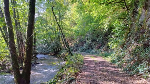 Themenwanderweg Lampaden -  Weg des Wassers