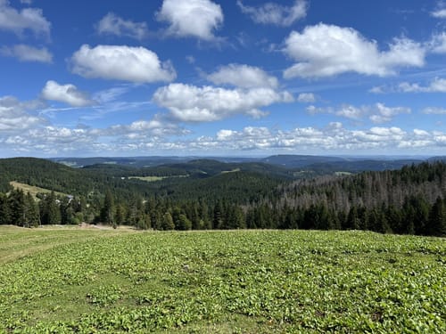 Feldbergsteig (Genießerpfad)