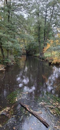 Diemeltal zwischen Helminghausen und Padberg