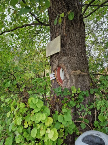 Seeburger See-Rundweg