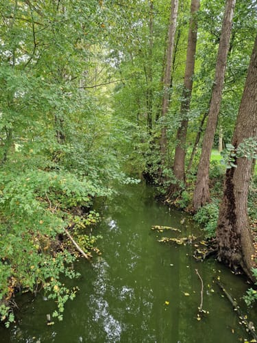 Seeburger See-Rundweg