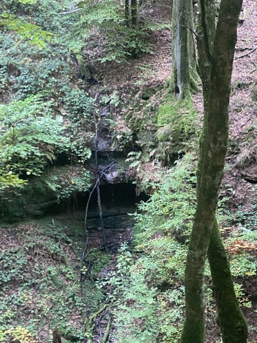 Schluchtenpfad Sinspelt(NaturWanderPark delux)