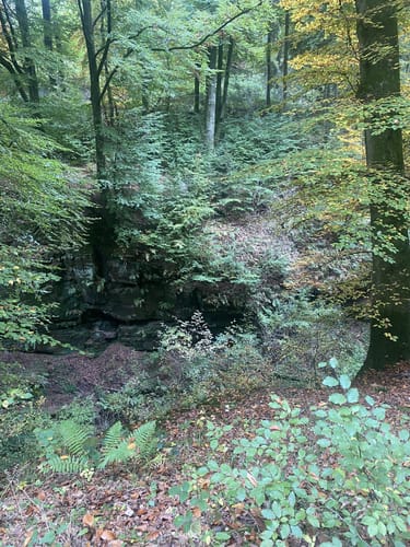 Schluchtenpfad Sinspelt(NaturWanderPark delux)