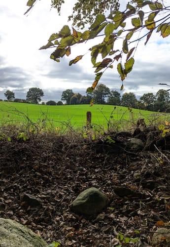 Rundweg im Blocksdorfer Holz