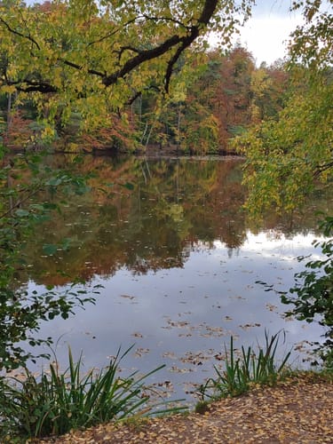 Primmtal Wanderweg Nr. 2