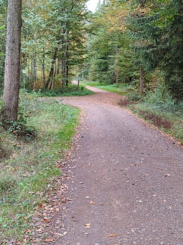 Primmtal Wanderweg Nr. 2