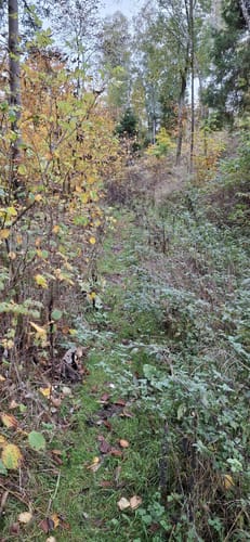 Diemeltal zwischen Helminghausen und Padberg