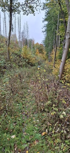 Diemeltal zwischen Helminghausen und Padberg