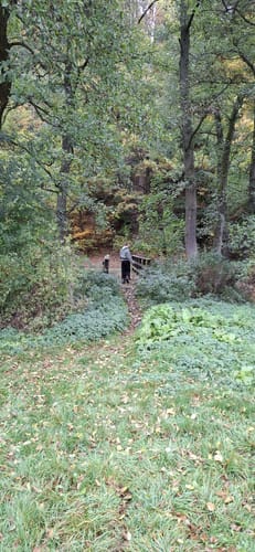 Diemeltal zwischen Helminghausen und Padberg