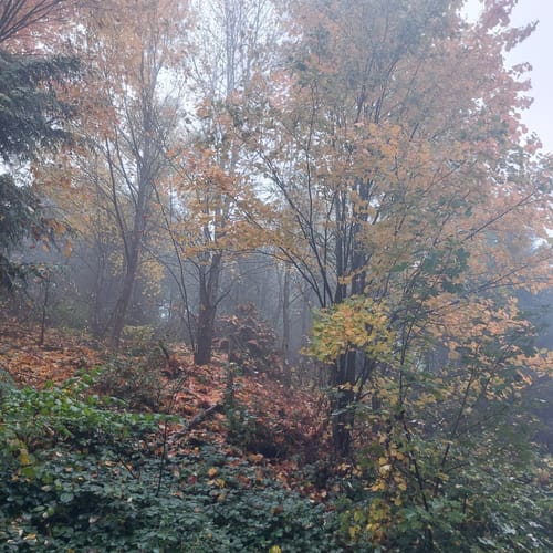 Erlebnispfad WeltWald Harz
