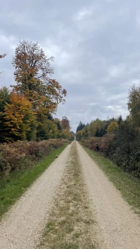 Kleine Waldrunde bei Morscheid
