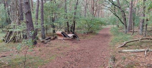 Historischer Wanderweg Heinsen (Hn 1)