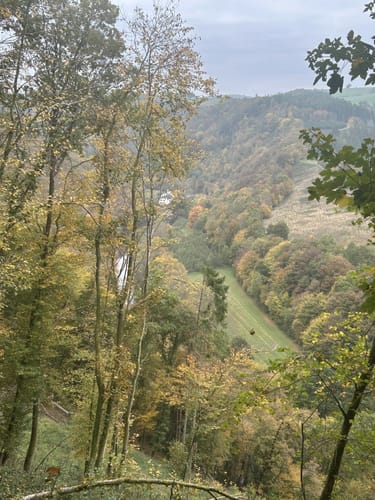 Dasburg (Naturpark Südeifel Wanderweg Nr. 8)