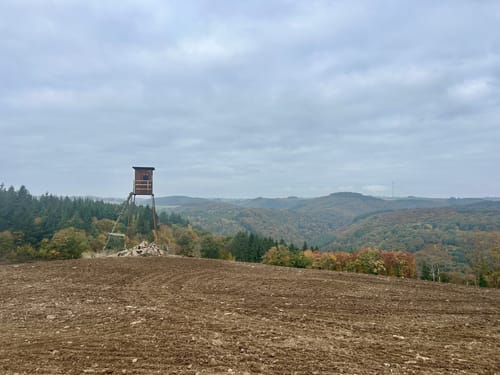 Dasburg (Naturpark Südeifel Wanderweg Nr. 8)