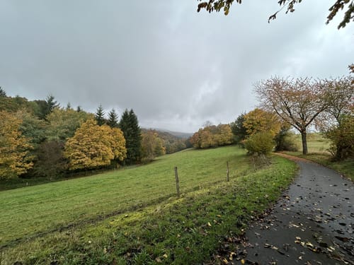 Strauch und Steckenborn Rundweg