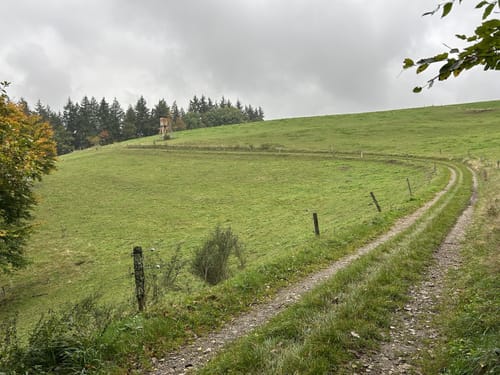 Strauch und Steckenborn Rundweg