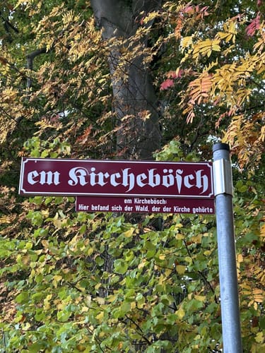 Strauch und Steckenborn Rundweg