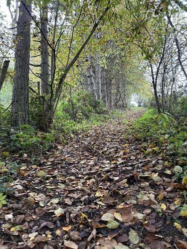 Strauch und Steckenborn Rundweg