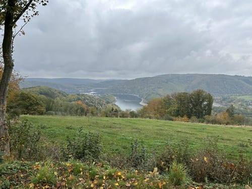 Strauch und Steckenborn Rundweg