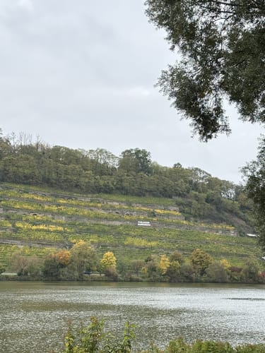 Moselsteig Etappe 24: Winningen - Koblenz