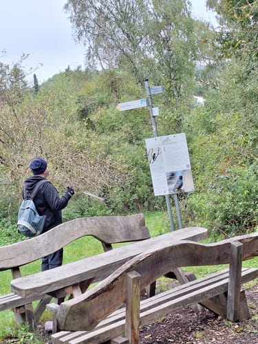 Karrenberg (Premiumwanderweg)
