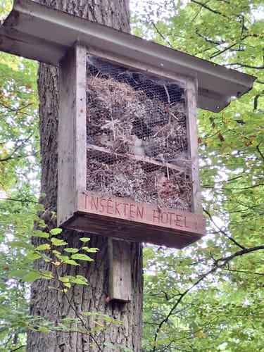 Karrenberg (Premiumwanderweg)