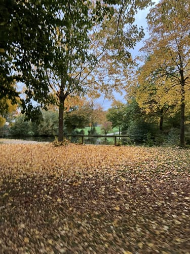 Bad Griesbach - Kurgebiet