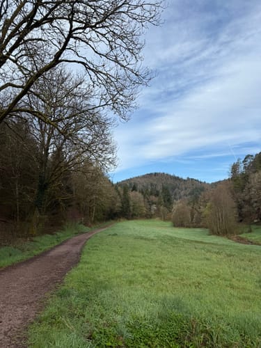 Panoramaweg Baden-Baden Etappe 3: Forellenhof - Geroldshauer Mühle