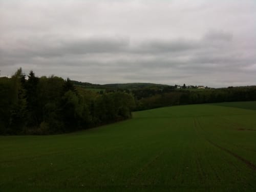 Das grüne Eichenblatt: Langenhain-Ziegenberger Waldweg