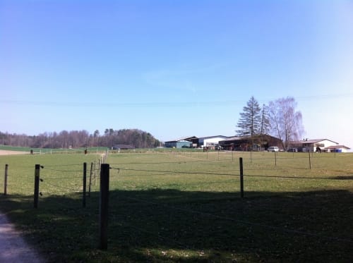Wil - Rafz via Rafzerfeld