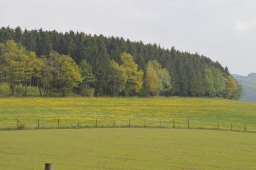 Runde bei Landenbeck