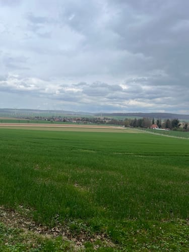 Burg Wohldenberg