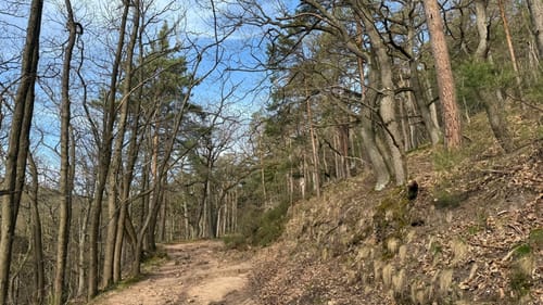 Hambacher Schloss und Hohe-Loog-Haus Kurzwanderweg