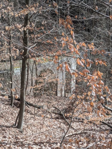 Zaschendorf - Doberberg Runde