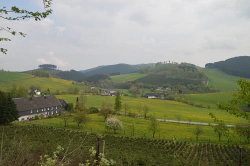 Runde bei Landenbeck