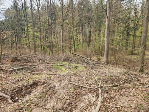 Wanderweg bei Nordenstadt