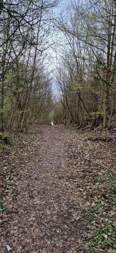 Rundwanderweg A1 Gaffel