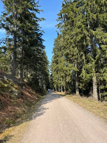 Rund um die Hornisgrinde