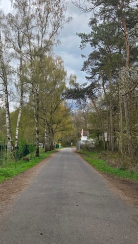 Hansteinweiher und Mainufer ab Bahnhof Mühlheim-Dietesheim