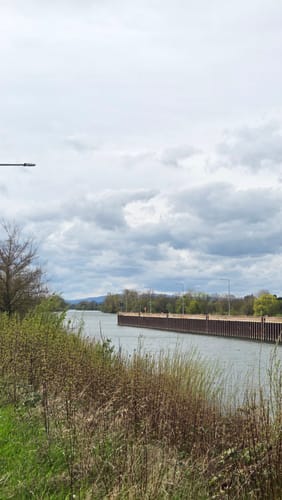 Hansteinweiher und Mainufer ab Bahnhof Mühlheim-Dietesheim