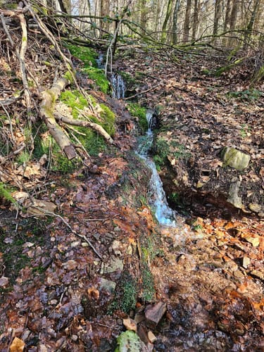 Zwei-Täler-Weg (Traumschleife)
