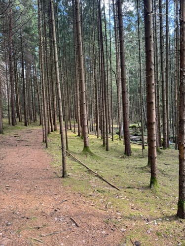 Rund um den Leuchtenberg