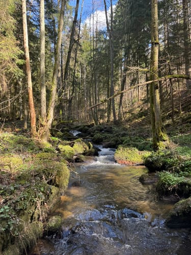 Rund um den Leuchtenberg