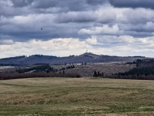 Bergwiesen-Lehrpfad Benneckenstein